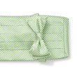 Load image into Gallery viewer, Signature Stripe: Cummerbund Set - Green

