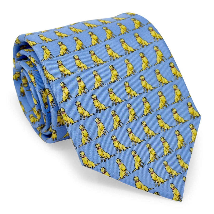 Sit, Stay: Tie - Blue/Yellow