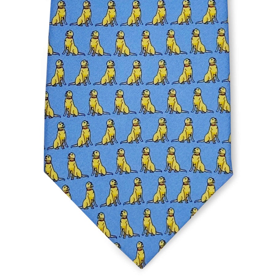 Sit, Stay: Tie - Blue/Yellow