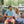Load image into Gallery viewer, Lucky Golf: Boxers - Light Blue
