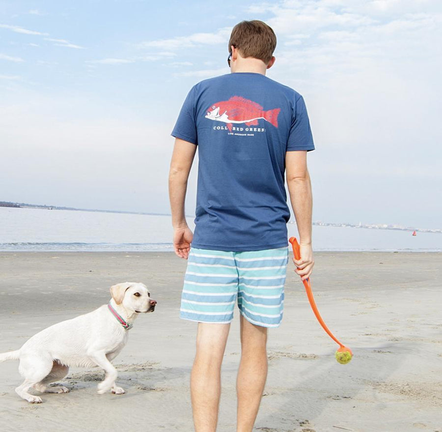 East Bay Sunrise: Short Sleeve T-Shirt - Steel Blue