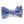 Load image into Gallery viewer, Leopards: Bow - Blue
