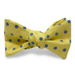 Load image into Gallery viewer, Fleurrie: Bow - Yellow

