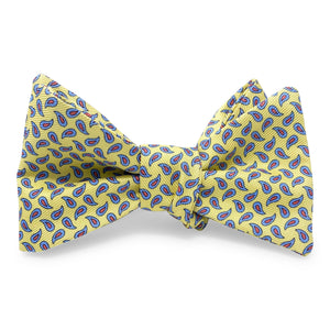 New Pine: Bow - Yellow/Blue