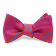 Load image into Gallery viewer, Raleigh: Bow - Pink
