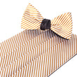 Load image into Gallery viewer, Goldfinger Cummerbund and Bow Tie Set Cummerbund Sets - Collared Greens American Made
