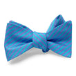 Load image into Gallery viewer, Creigh: Bow - Turquoise
