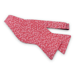 Liberty Derbyshire: Bow - Coral