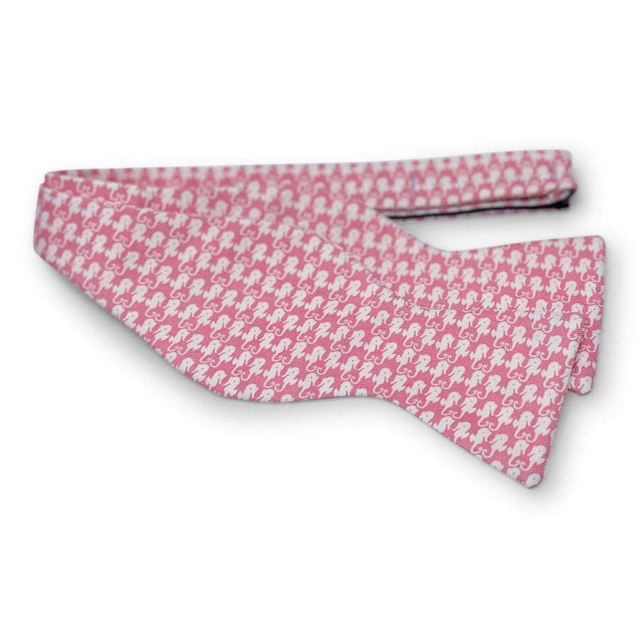 Sand Key Seahorse: Bow - Coral