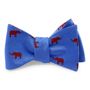 Elephant: Bow - Blue