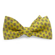 Load image into Gallery viewer, Fleur: Bow - Yellow
