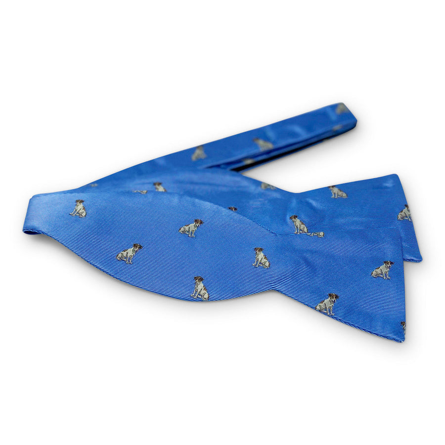 Beagle: Bow - Blue