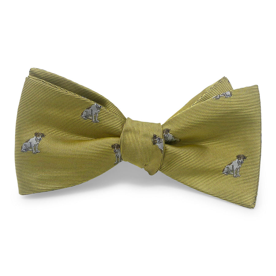 Beagle: Bow - Yellow