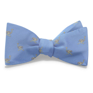Ostrich: Bow - Blue