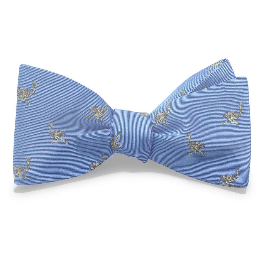 Ostrich: Bow - Blue