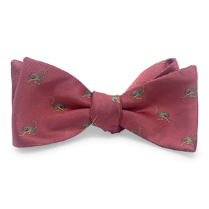 Ostrich: Bow - Pink