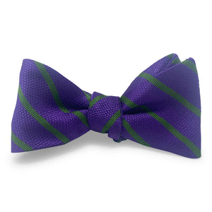 Quailridge: Bow - Purple