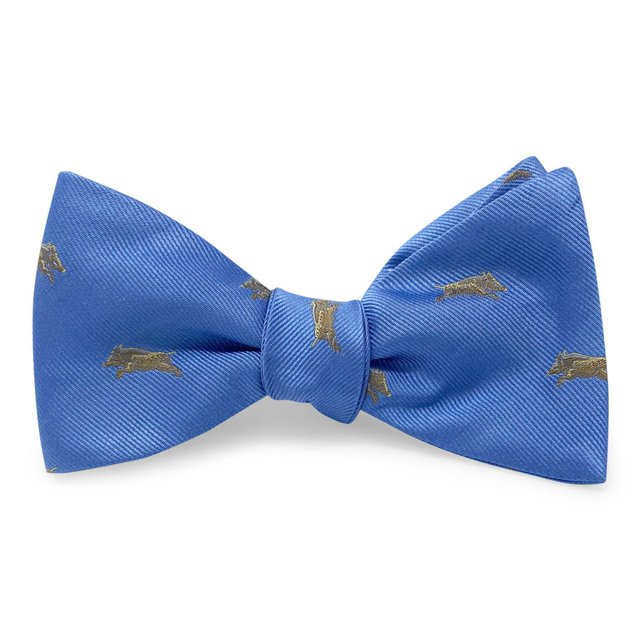 Wild Boar: Bow - Blue