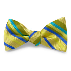 Baja: Bow - Yellow