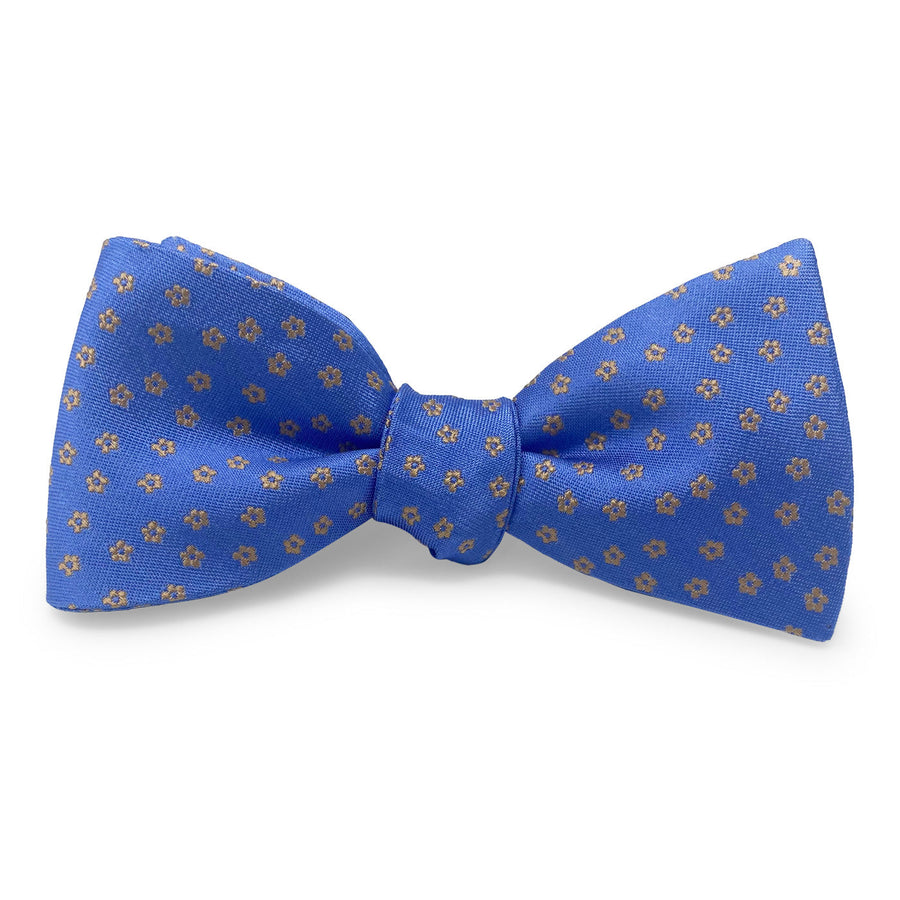 Santa Teresa: Bow - Blue