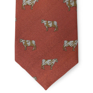 Cows: Tie - Orange