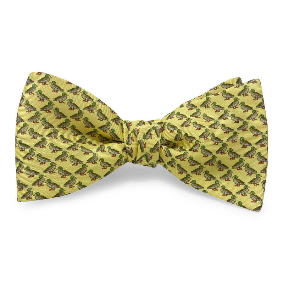 Mallards: Bow - Yellow