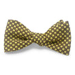 Load image into Gallery viewer, St. Albans: Bow - Yellow
