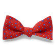 Load image into Gallery viewer, Spring Foulard: Bow - Red
