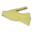 Load image into Gallery viewer, Spring Foulard: Bow - Yellow

