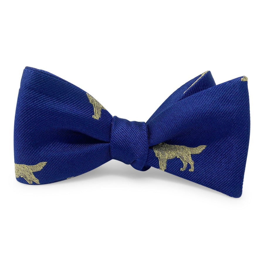 Setter: Bow - Navy