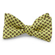 Load image into Gallery viewer, Taylor: Bow - Yellow
