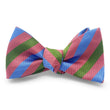 Load image into Gallery viewer, Cagney: Bow - Pink/Blue/Green
