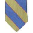 Load image into Gallery viewer, Hamlton: Tie - Blue/Yellow
