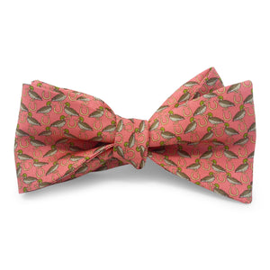 Lucky Duck: Bow - Coral