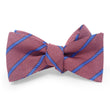 Load image into Gallery viewer, Steiger: Bow - Pink/Blue

