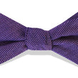 Load image into Gallery viewer, Sudbury Solid: Bow Tie - Purple
