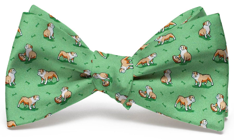 Bulldog Bonanza: Bow Tie - Mint