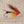 Load image into Gallery viewer, American Made Collared Greens Fly Fishing Lapel Pins Orange|Red|Yellow Made in the USA

