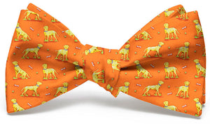 Lucky Labs: Bow Tie - Orange