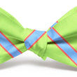 Load image into Gallery viewer, Van Tassel Stripe: Bow Tie - Lime/Blue
