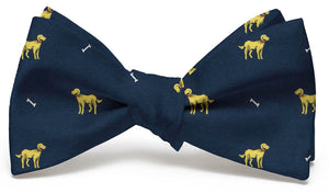 Doggone: Bow Tie - Navy