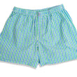 Load image into Gallery viewer, Gingham: Boxers - Green/Blue (M &amp; XL)
