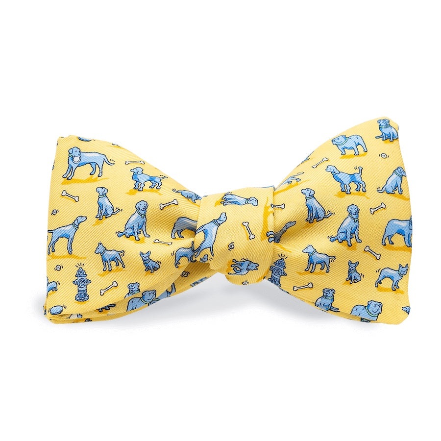 Dog Park: Bow Tie - Yellow