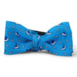 Load image into Gallery viewer, Small Bills: Bow Tie - Turquoise
