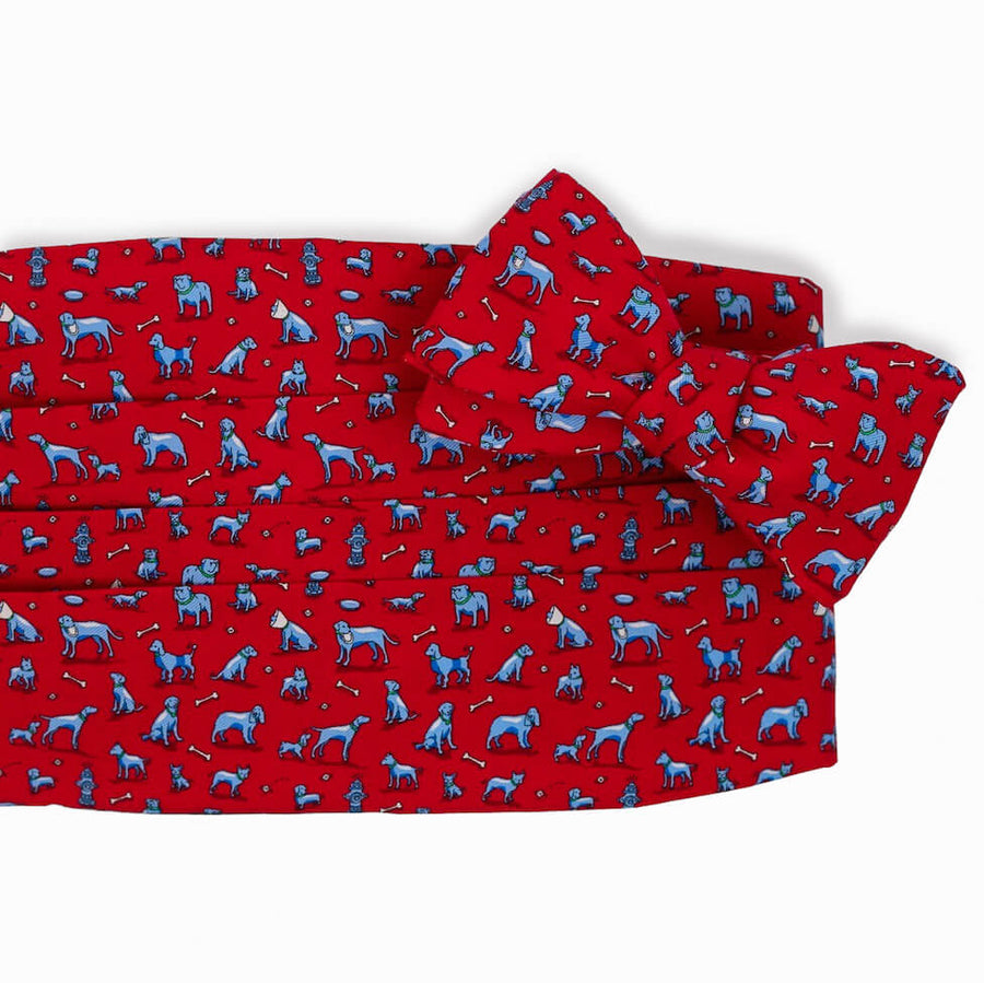 Dog Park: Cummerbund Set - Red