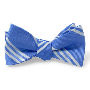 College Collection Stripes: Bow - Blue