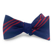 Load image into Gallery viewer, College Collection Stripes: Bow - Navy/Red
