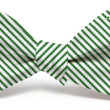 Load image into Gallery viewer, Signature Stripe: Bow Tie - Dark Green
