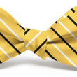 Load image into Gallery viewer, Lewis: Bow Tie - Yellow/Black
