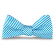 Load image into Gallery viewer, Signature Stripe: Bow Tie - Turquoise
